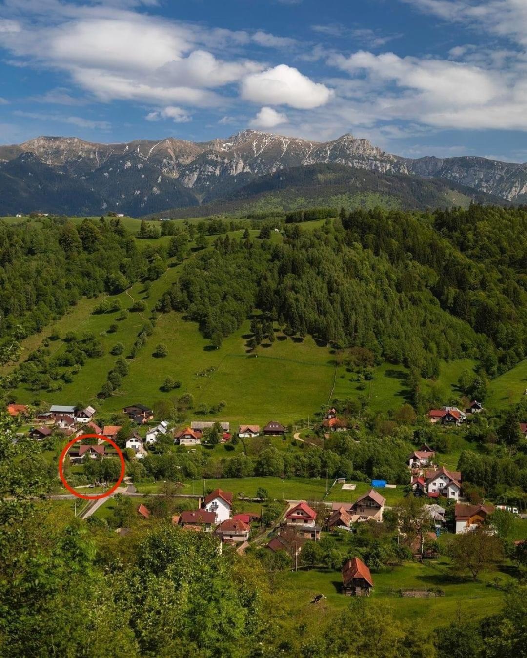 Casa Cu Salcami Villa Moieciu de Jos Eksteriør bilde
